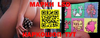спайс Кинель