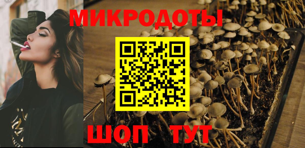Галлюциногенные грибы GOLDEN TEACHER  Галлюциногенные грибы мицелий  Вход с VPN  Котельники 